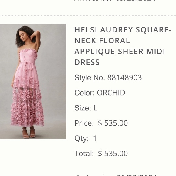 Helsi Audrey Square-Neck Floral Appliqu Sheer Midi Dress
